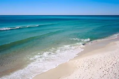 Image de Le Paradis De La Plage De Margarita Pour Vous Et Votre Animal De Compagnie S'éloigne de la plage