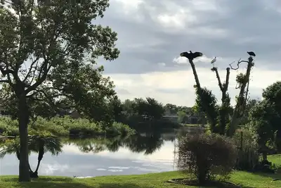 Image de Beau sanctuaire d'oiseaux sur le lac