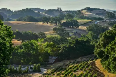 Orchard Hill Farm - Confort élégant dans West Side souhaitable Paso Robles
