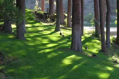 Image de Riverfront Lodge, cadre magnifique, pied au centre ville!