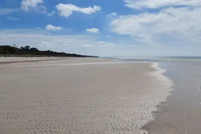 Image de Plage isolée, brousse indigène - Clearwater Haven