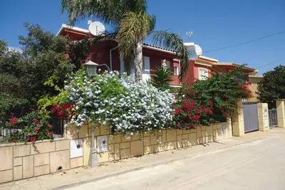 Image de Mediterraneo 2005 Family Complex Lek