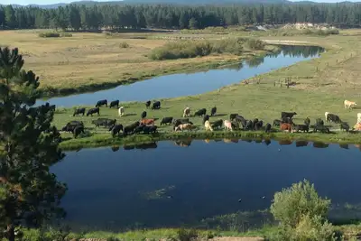 Image de Accueil On The River Sprague Dans Chiloquin, Oregon-40 Miles From Crater Lake