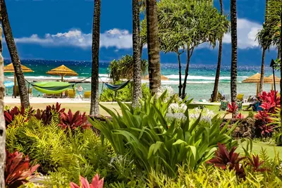 Image de Turtle Bay Beach Niveau 4 chambres Direct Ocean Views Villa 105-106!