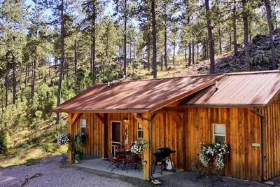 Image de Nouveau chalet Black Hills personnalisé près du mont Rushmore, situé au centre, paisible