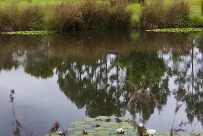 Image de Tyenna River Cottage