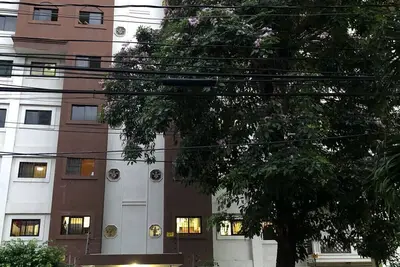 Image de Zone coloniale / Santo Domingo / Nid dans le ciel
