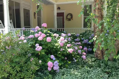 Image de Maison de style Queen Anne historique dans le village de Douglas \/ Splendeur Saugatuck-Vintage
