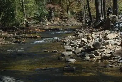 Creekside, FirePit, spa, accès facile, porche moustiquaire