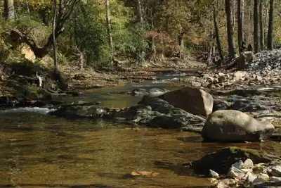 Image de Remises! ! Asseyez-vous au bord du ruisseau avec un feu ou profitez du bain à remous, du porche de l'écran, de la route et de la cour.