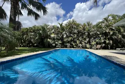 Escapade tropicale! ! ! !