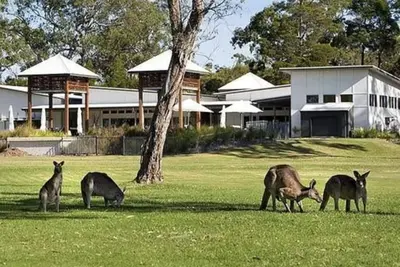 Image de Luxe maison de plage - paradis australien dans la station balnéaire indigène. Piscine expansive, spa