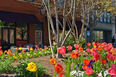 Image de Coucher de soleil sur Main Street Loft. Hendersonville de charme. Walkable. Stationnement hors rue
