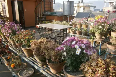 Image de Nepal Apartment