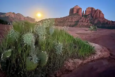 Image de Stargazer’s Oasis, près d'Oak Creek et de sentiers de randonnée, avec de belles vues