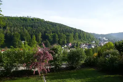 Image de Pas à la maison et pourtant à la maison