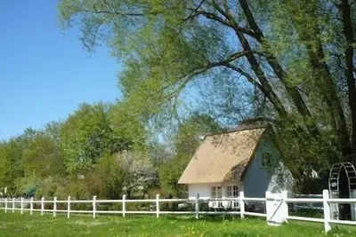 Image de Maison au toit de chaume \"Am Wieseneck\" avec jardin, près de la plage, internet, 3 vélos