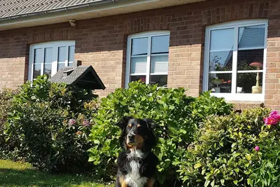 Image de Vacances avec un chien en Frise du Nord