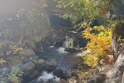 Image de Disponible pour Sr. Ouvrir! Un bloc de Broadmoor, sentiers de randonnée, à 10 min de Dntn