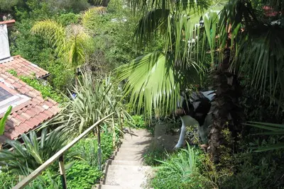 Image de Studio Hyères les Palmiers avec terrasse proche mer