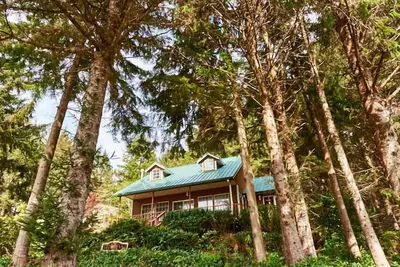 Image de Nouvelle Liste! ! Maison privée dans les arbres à distance de marche de la baie!