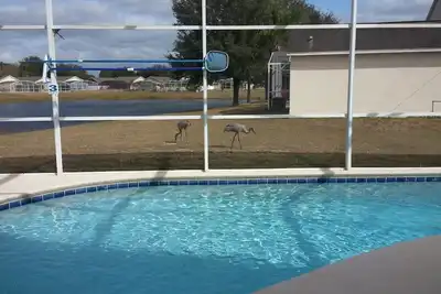 Image de Vue sur le lac Accueil \/ Piscine privée \/ WiFi gratuit près de Disney World