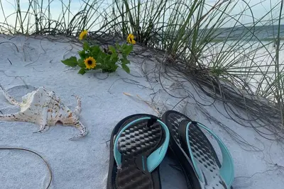 Image de Luxe en bord de mer sur l'île d'Okaloosa! Spacieux 2 lits, 1k, 2 Q, canapé-lit Q.
