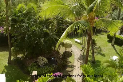Image de Océan, montagne, piscine. Le meilleur emplacement au Banyan. Face de la plage Kam2