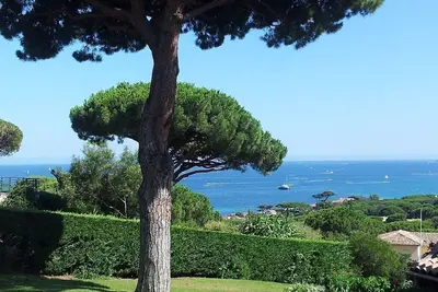 Image de Ste Maxime: T3 sea view, a few steps from the beach, lush park.