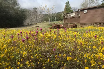 Image de Shirley Creek Retreat: une oasis de montagne