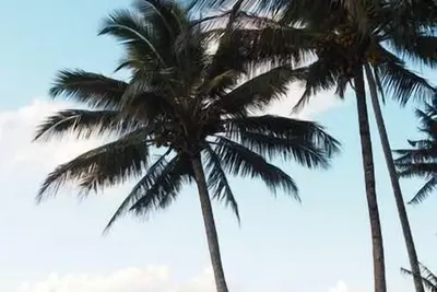 Image de Feather Reef Cottage