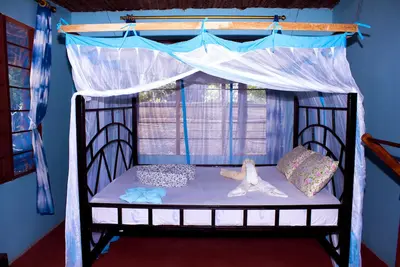 Image de Afro Beach Bungalows et Afro Whale Shark Safari appartenant et gérés par les communautés locales