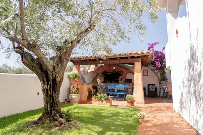 House adjacent to playground with ancient olive trees