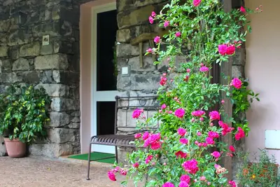 Quinta do Pântano est un endroit calme et réservé, avec une ambiance et des paysages uniques