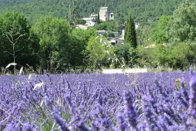 Image de Le Mas des Restanques, classé 3*, dans un des plus beaux villages de France