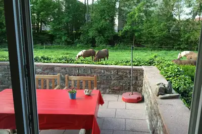 Image de Appartement derrière le moulin