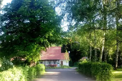 Image de Bienvenue à la « Fox Station »
