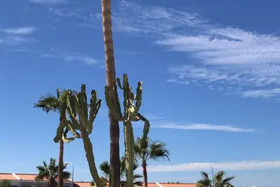 Image de Super bel appartement avec vue sur la mer et super grande terrasse aussi