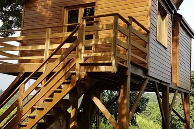 Image de Cabane perchée dans un letchi