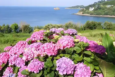 Image de Maison  accès directe à la plage par le jardin.