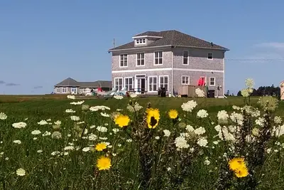 Image de Ocean Front Beach House Ă Augustine Cove
