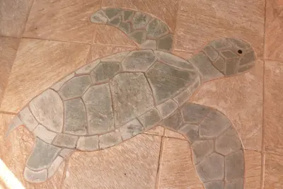 Image de Sur la plage, belle vue sur l'océan. Paradis! ! !