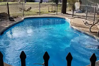 Image de Détendez-vous et profitez de la vue sur le lac Travis, la nature et les cerfs