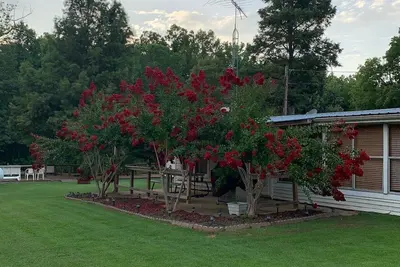 Image de Lodging on Reelfoot Lake Upper Blue Basin at The Bayou Bungalow