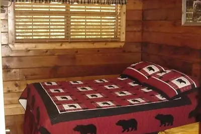 Image de Ours Nécessité Log Cabin - Trout Pond, Cascade