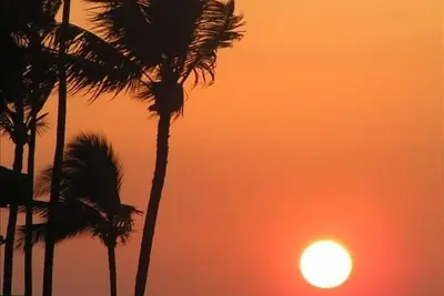 Image de Beautiful Updated Condo directly across the street from the Kamaole Beach! !