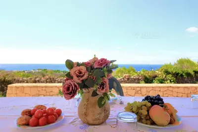 Image de Salvia lovely seaview