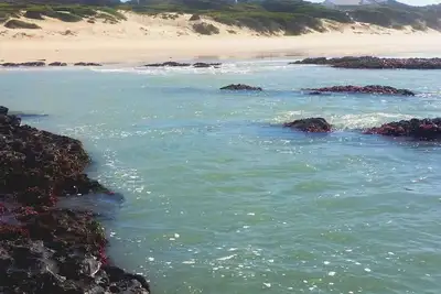 Image de ÉTABLISSEMENT De Tranquil Beach À PROXIMITÉ Des Sites De Surf Et De L'AÉROPORT Mondial