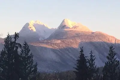 Image de Suite vue sur les oreilles dorées