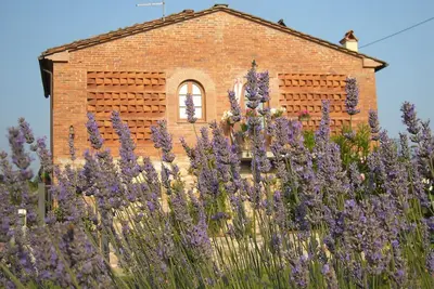 Image de Position strategique pour visiter la Toscane. Prix degressifs selon la durèe